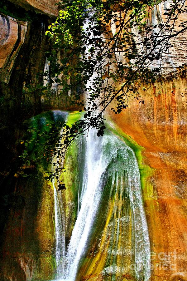 Calf Creek Falls I Photograph by Ellen Heaverlo