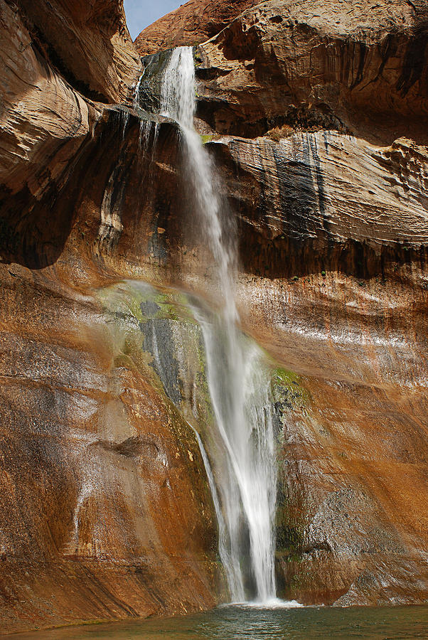 Calf Creek Falls Photograph by Melany Sarafis