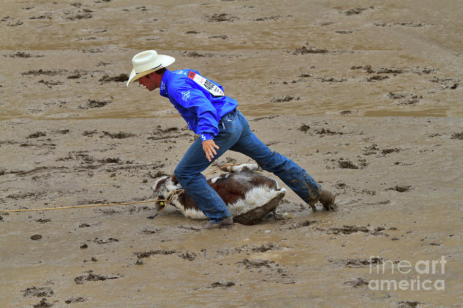 Rodeo Photograph - Calf Roping at the Calgary Stampede by Louise Heusinkveld