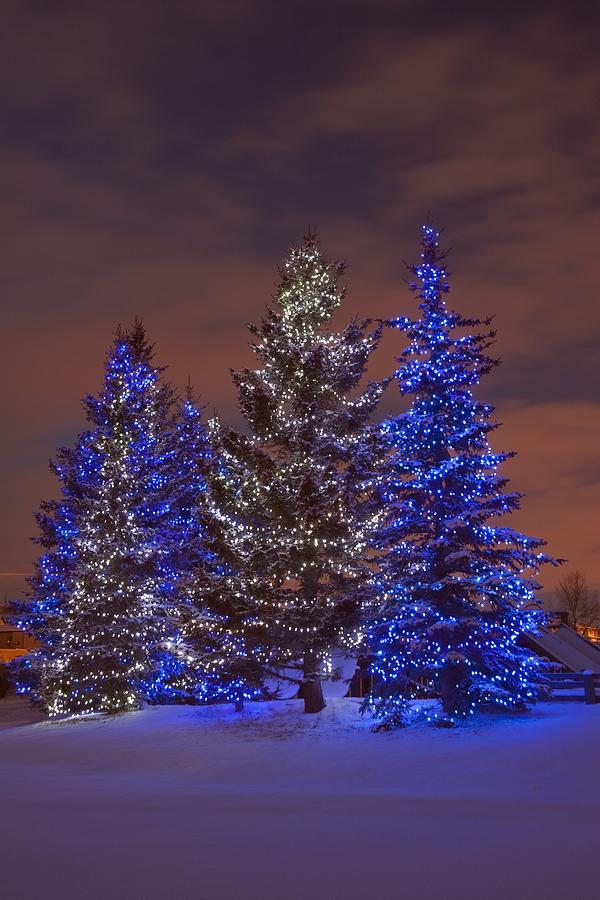 Christmas Photograph - Calgary, Alberta, Canada Christmas by Michael Interisano