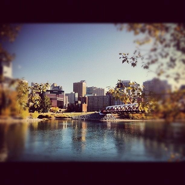 Calgary Photograph - #calgary In All Its Autumn Glory by Candice Walsh