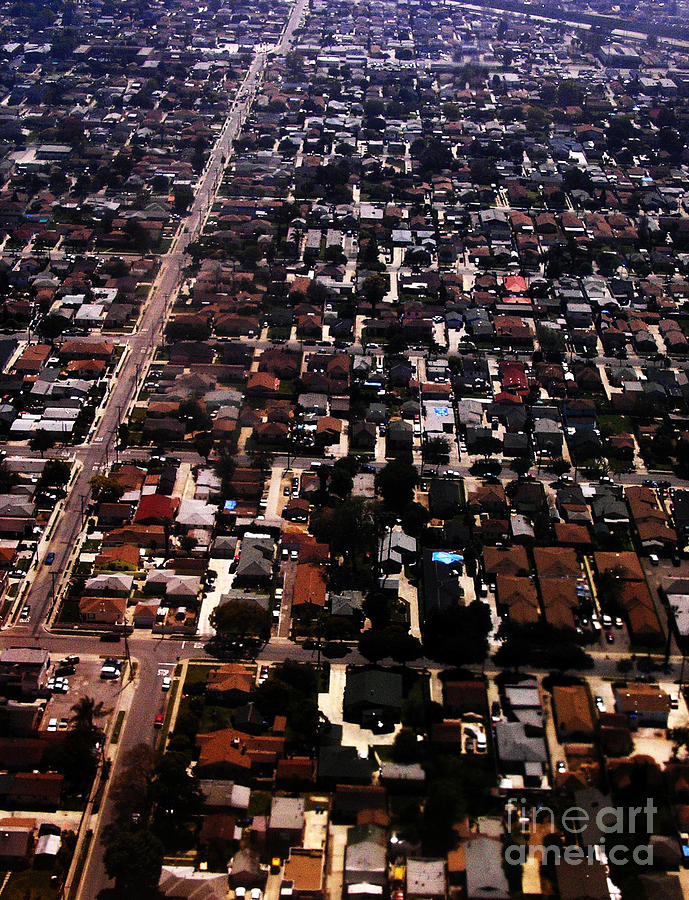Los Angeles Photograph - Cali Vision by Anthony Wilkening