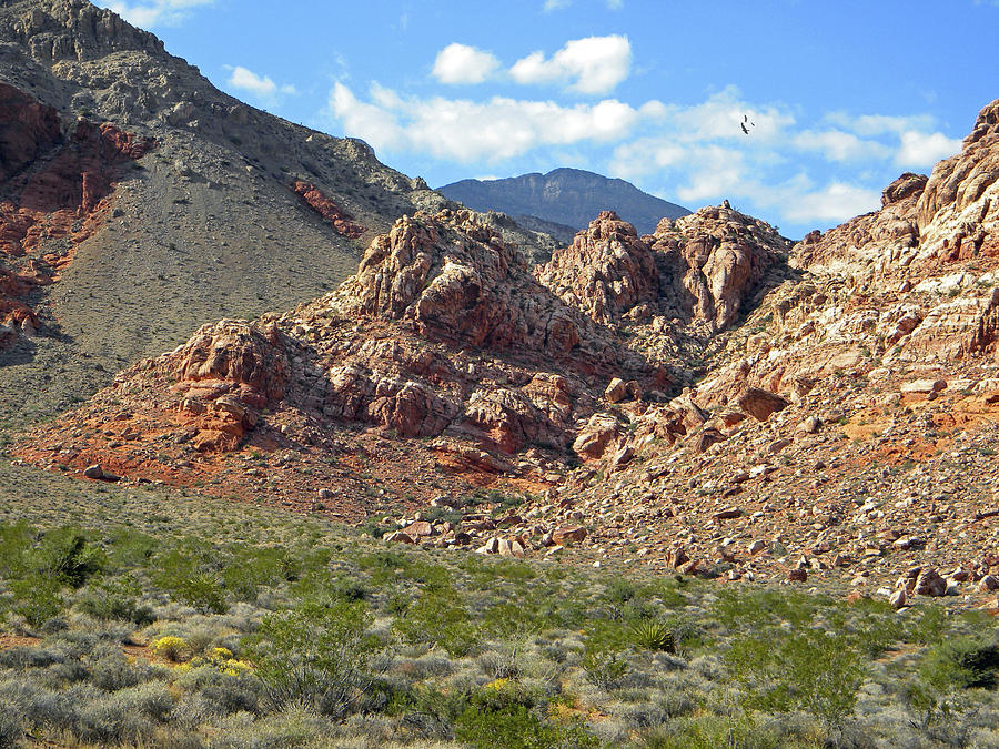 Calico Basin View Photograph by Frank Wilson