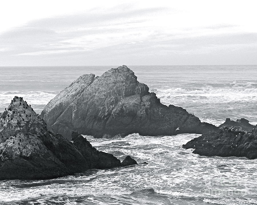 California Coast Photograph by Carol  Bradley
