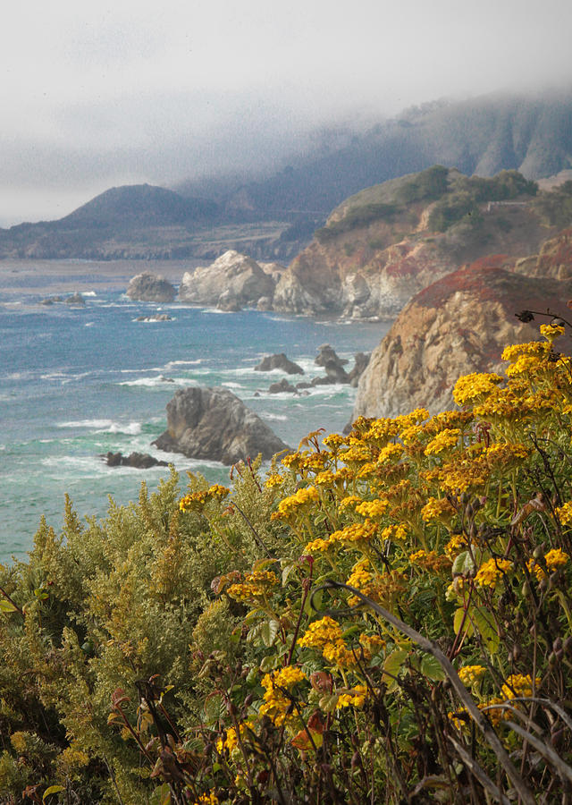 California Coast Photograph by Diane Bohna
