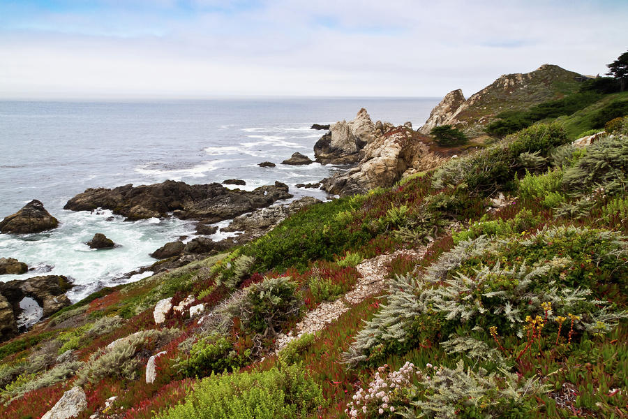 California Coast Photograph by Roger Mullenhour