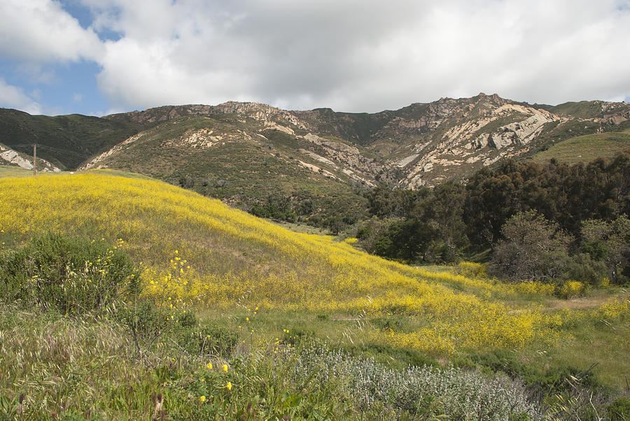 california-hillside-view-ii-kathleen-gra