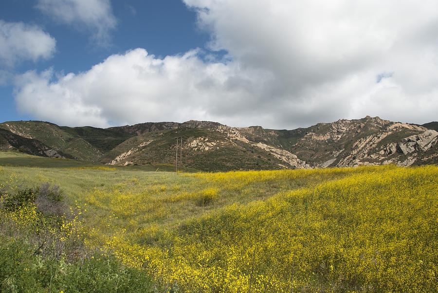 California Hillside View VI Photograph by Kathleen Grace