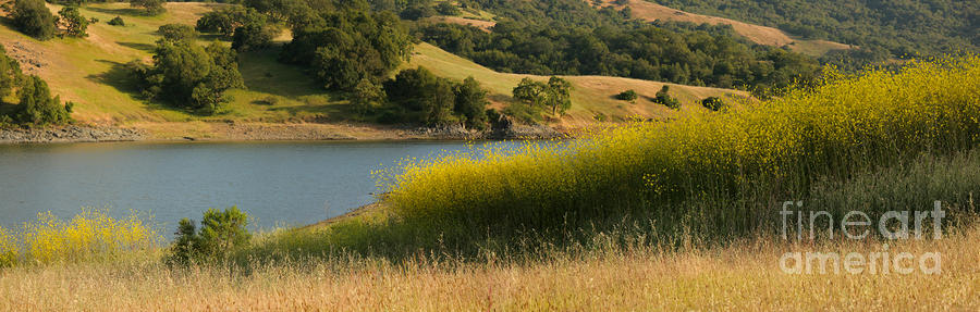 Nature Photograph - California Landscape Scenic by Matt Tilghman