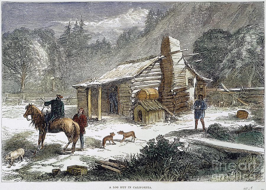 California Log Cabin, 1877 Photograph by Granger