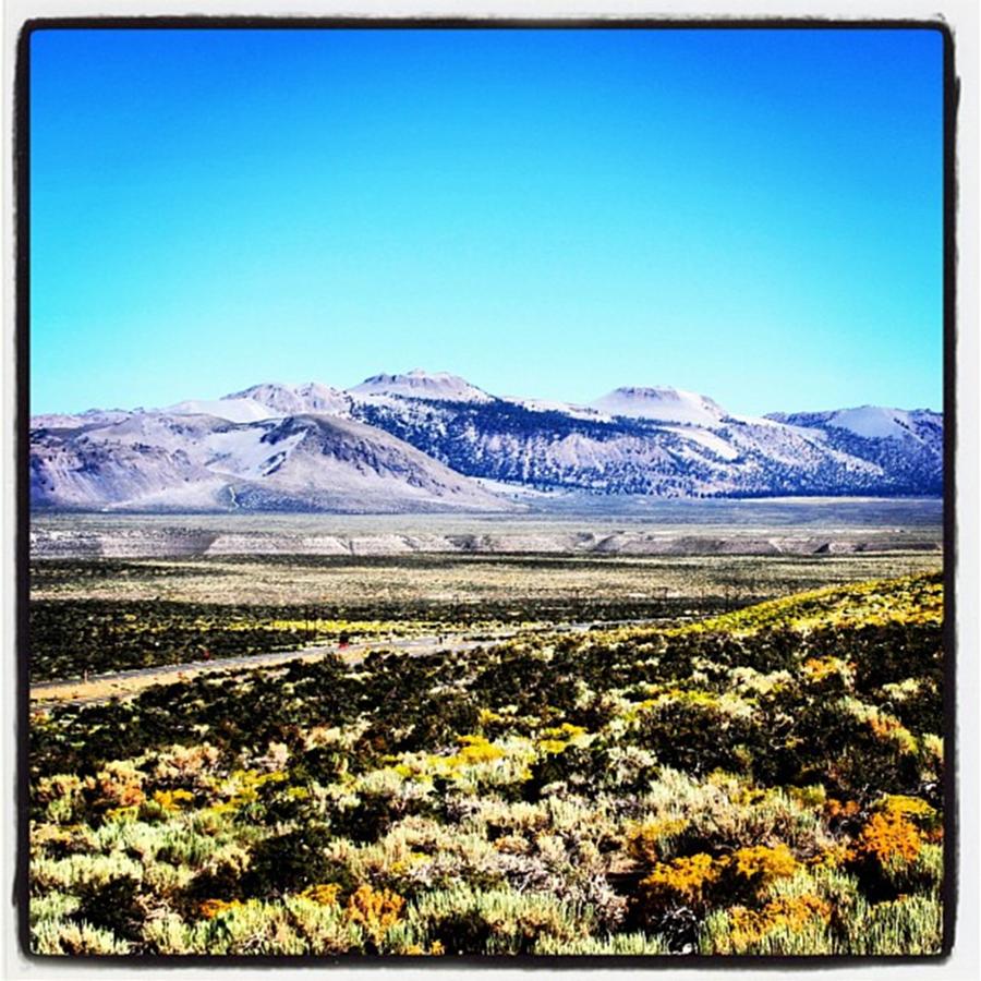 California Photograph - California by Luisa Azzolini California Photograph - California by Luisa Azzolini
