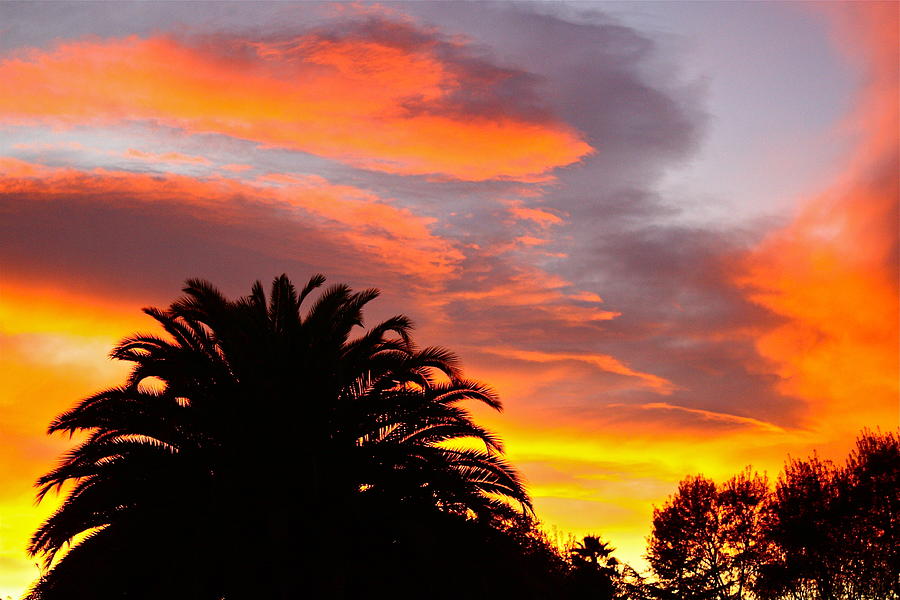 California Sunset Photograph by Diana Hatcher
