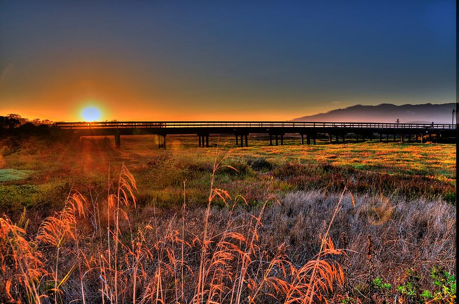 California Sunset Photograph by Marta Cavazos-Hernandez