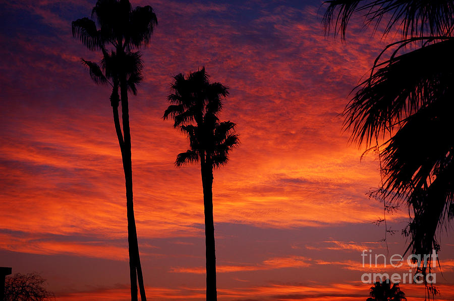 California sunset Photograph by Micah May