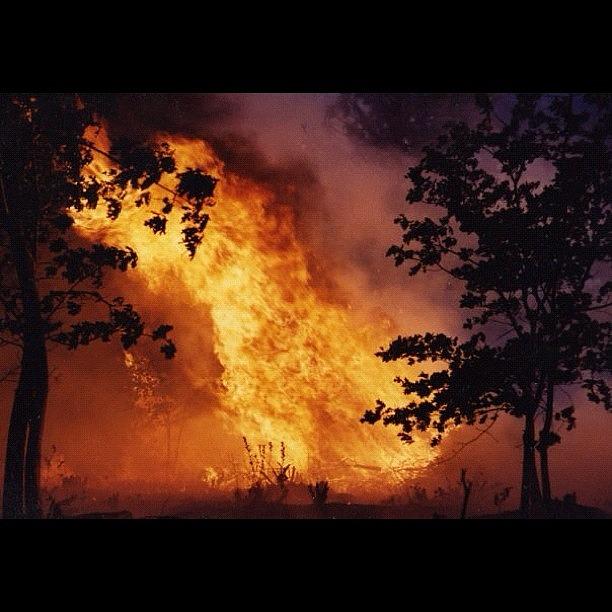 Cdf Photograph - California Wildland Fire 1992 35mm by Paul Wallingford