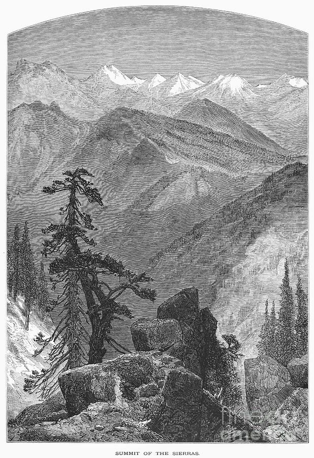 California: Yosemite, 1872 Photograph by Granger