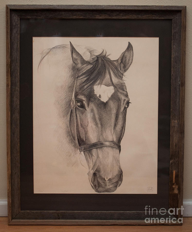 Horse Drawing - Calista by Becka Noel