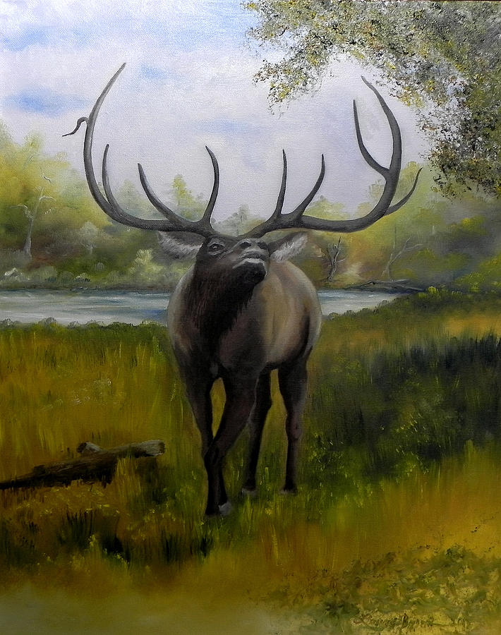 Wildlife Painting - Call of the wild III by Laura Brown