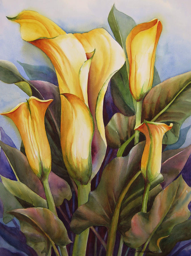Flower Painting - Calla lilies by Sue Zimmermann