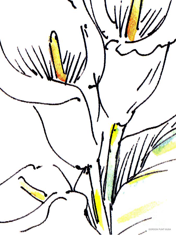 Calla-Lily-Abstract-Paintings-2 Painting by Gordon Punt