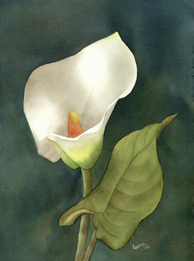 Cala Lily Painting - Calla Lily by Leona Jones
