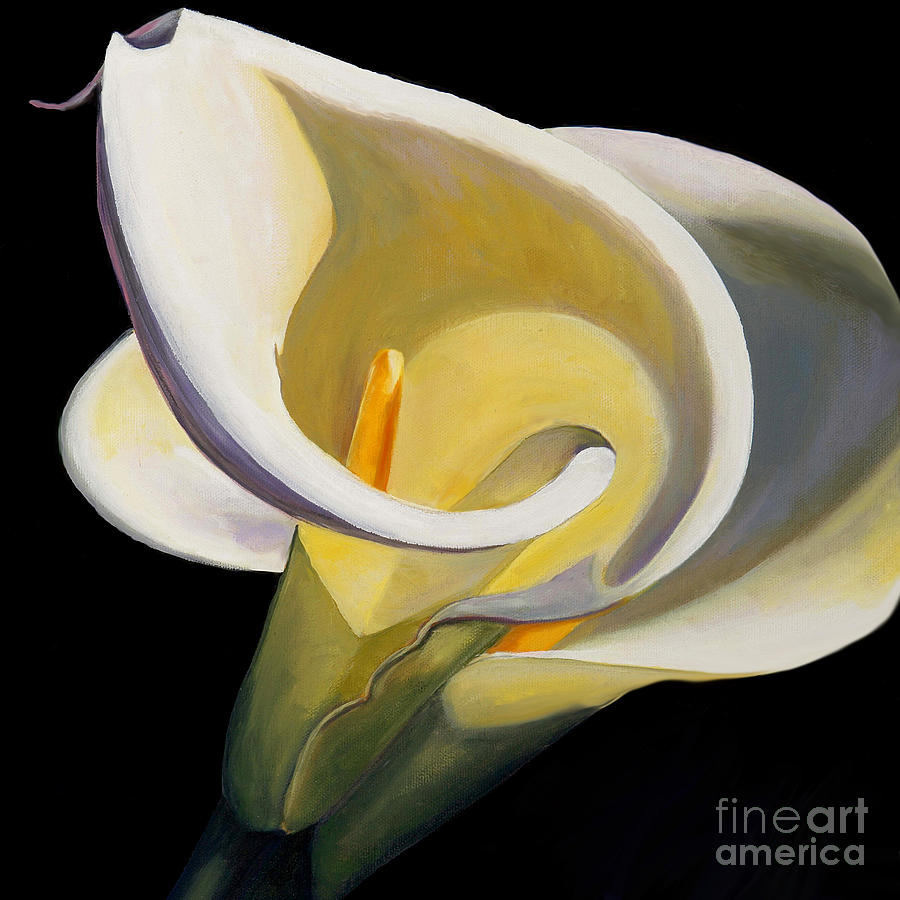 Calla  Painting by Victoria Page