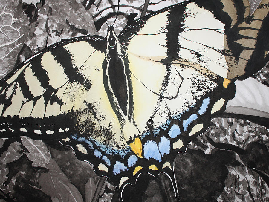 Callaway Tiger Swallowtail Butterfly Painting by Beth Parrish