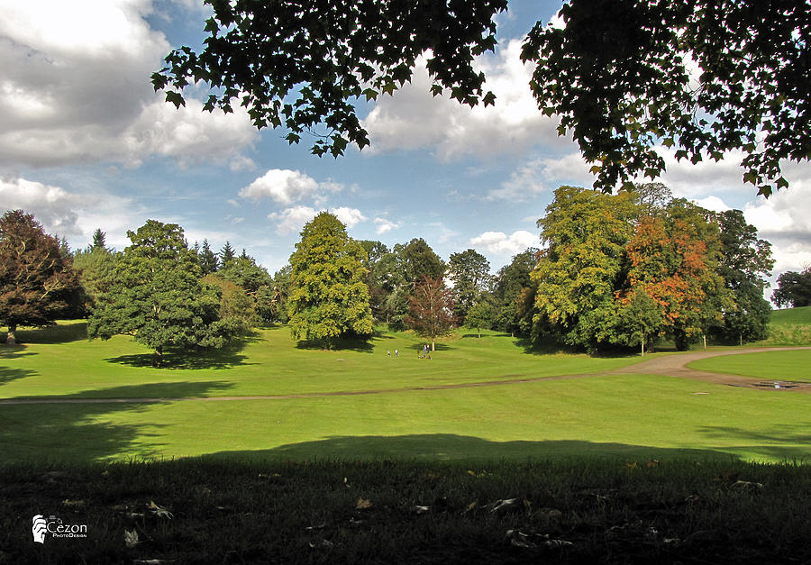 Callendar Park In Falkirk Photograph by Jose Luis Cezon Garcia