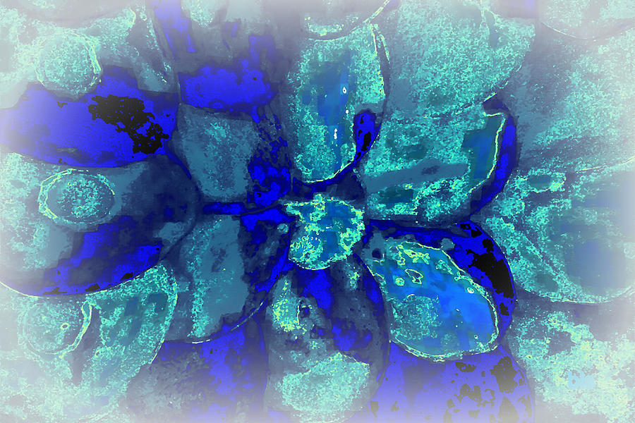 Abstract Photograph - Calm blue by Bonnie Stillman