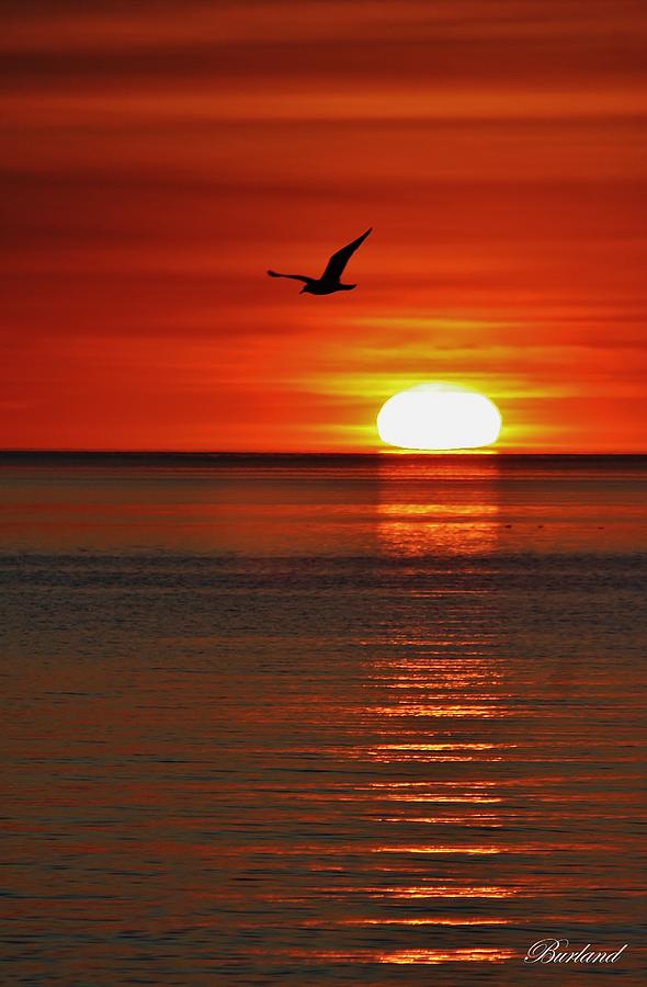Sunset Photograph - Calm Evening by Burland McCormick