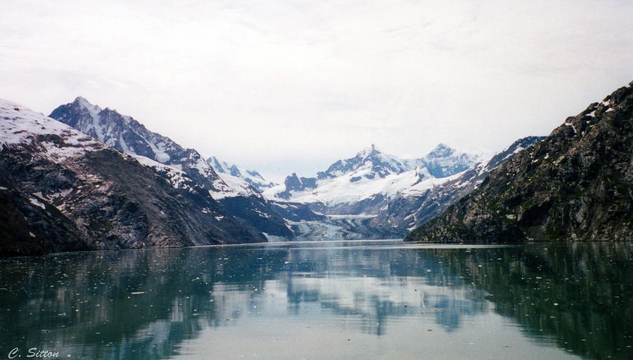 Calm Glacier Bay Photograph by C Sitton
