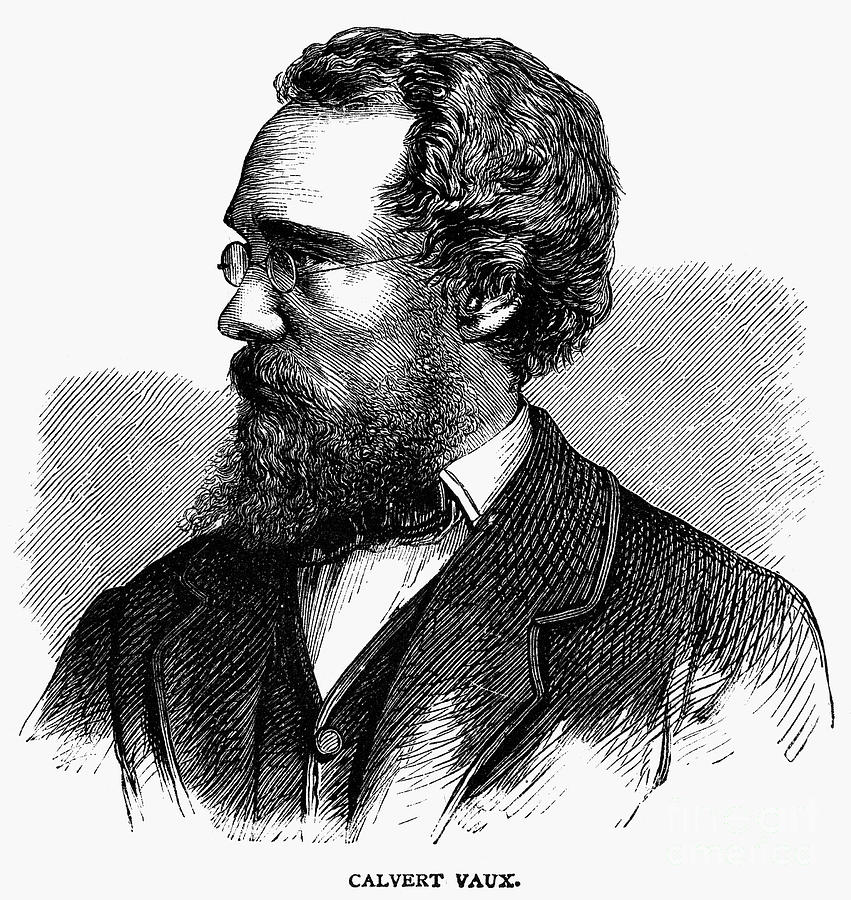 Calvert Vaux (1824-1895) Photograph by Granger