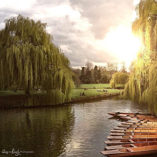 Cambridge Photograph - Cambridge Sunset by Jane Emily