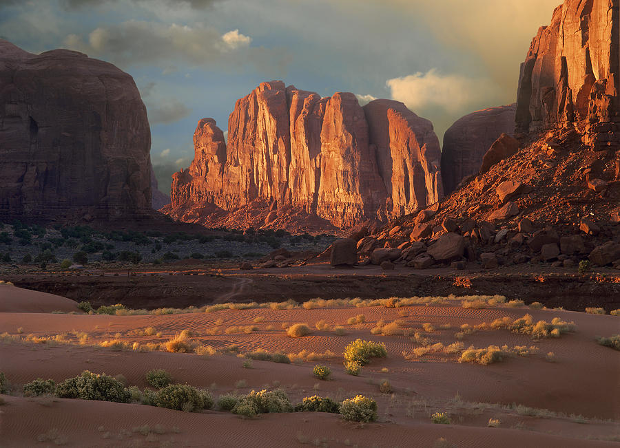 Landscape Photograph - Camel Butte Rising From The Desert by Tim Fitzharris