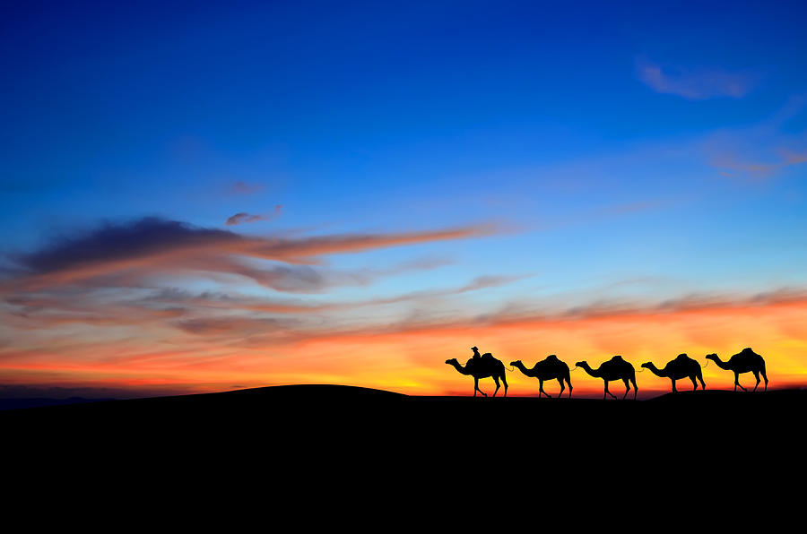 Image result for Sahara Desert sunset