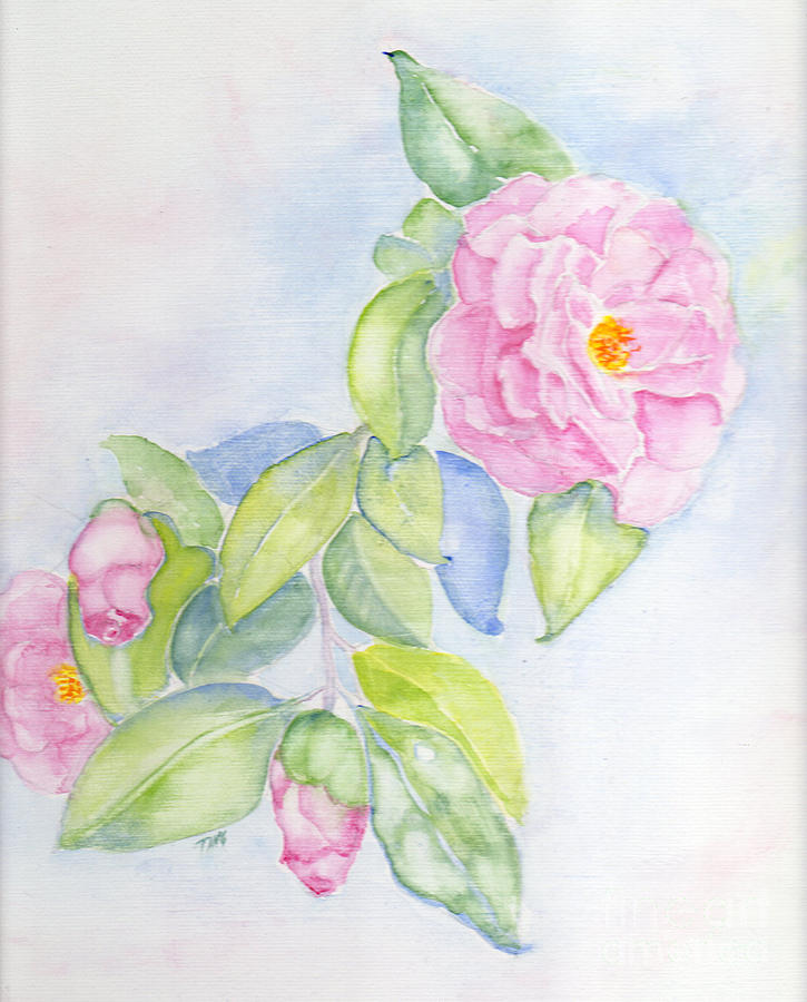 Camellias Pink Painting by Doris Blessington
