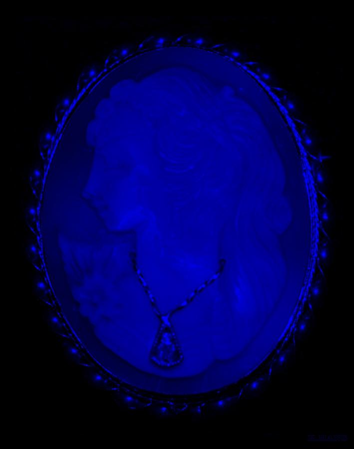 Portrait Photograph - CAMEO in BLUE by Rob Hans