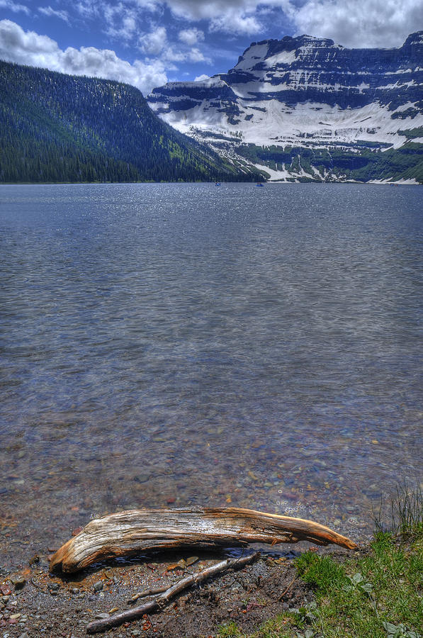 Cameron Lake Driftwood Photograph by Don Wolf