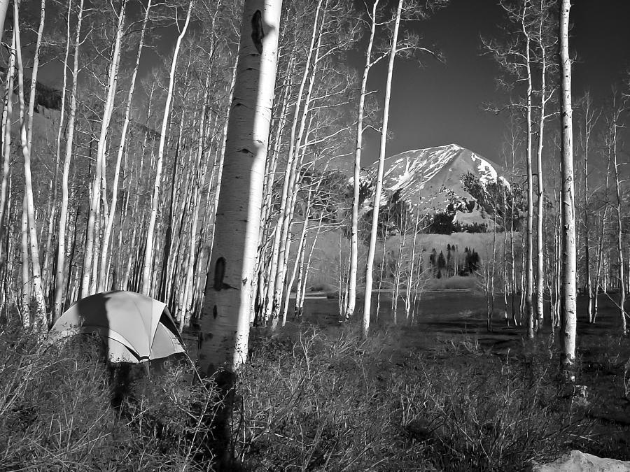 Camp at La Sal Mountain Photograph by T Cairns