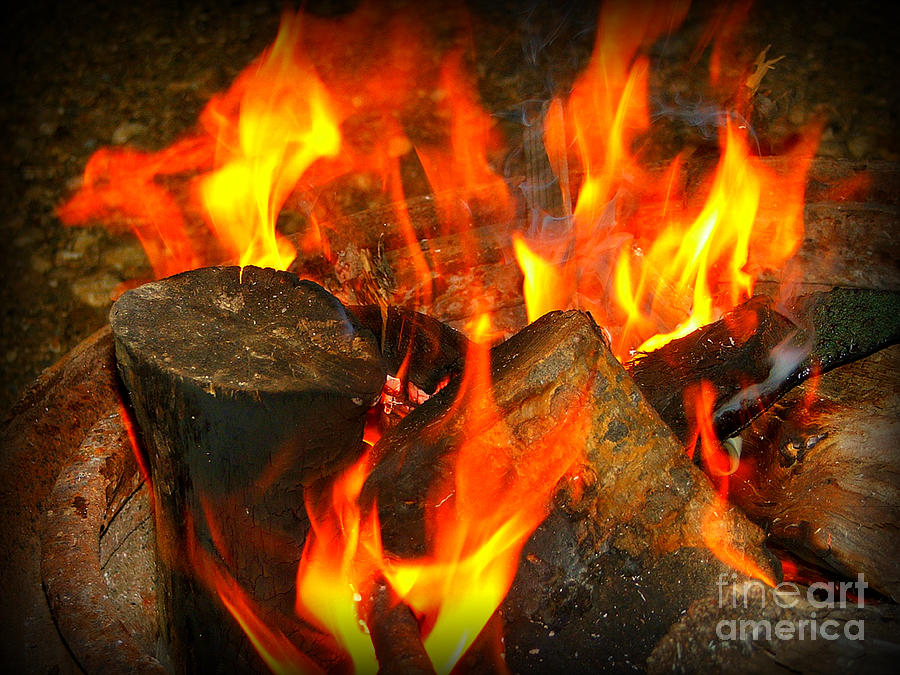 Wood Photograph - Camp fire by Ashley Vipond
