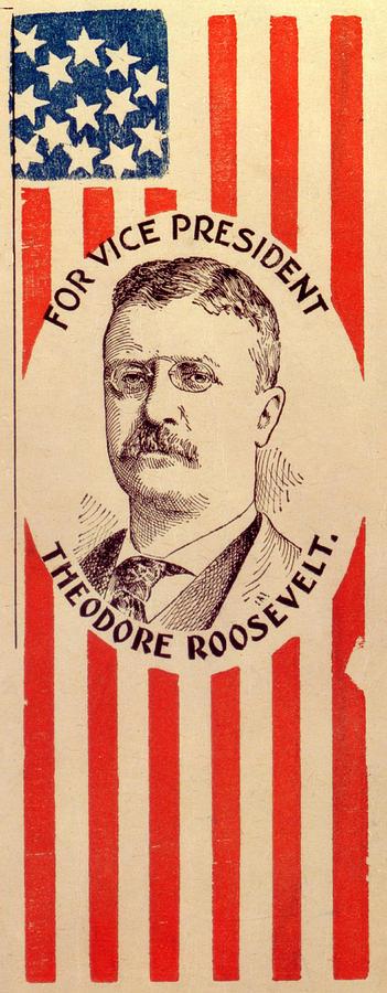 Flag Photograph - Campaign Poster For Theodore Roosevelt by Everett