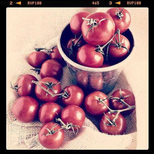 Instagram Photograph - Campari Tomato Still-life #tomatoes by Lynne Daley