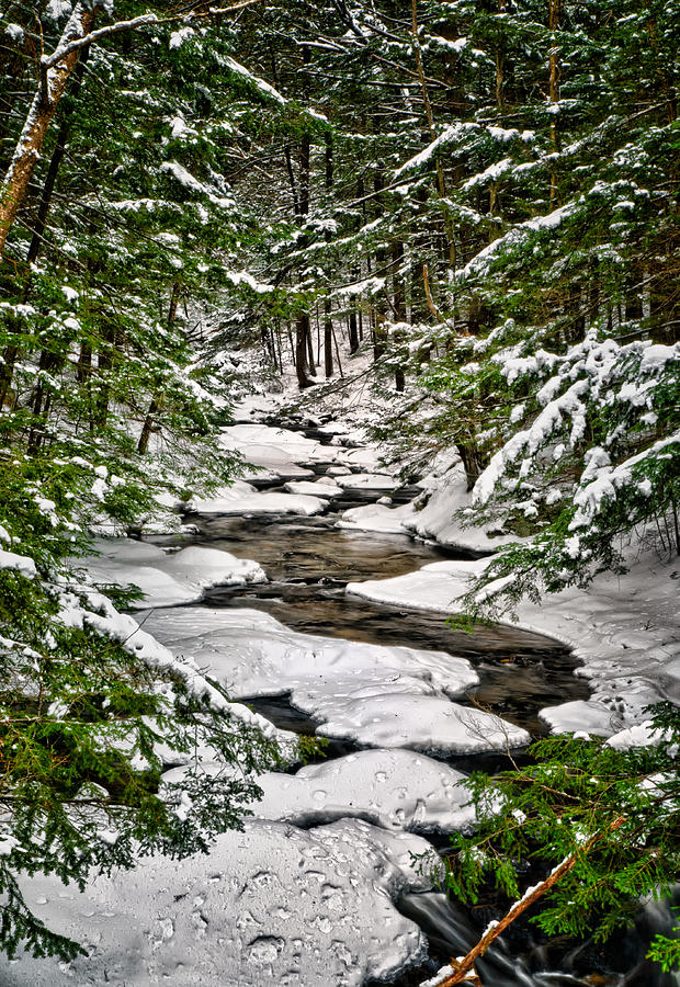 Campbell Falls Winter Photograph by Fred LeBlanc