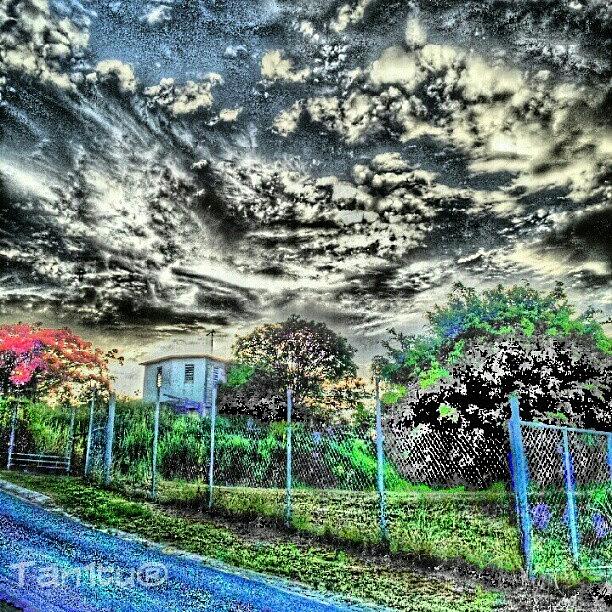 Nature Photograph - Campooo #puertorico #june6 by Tania Torres