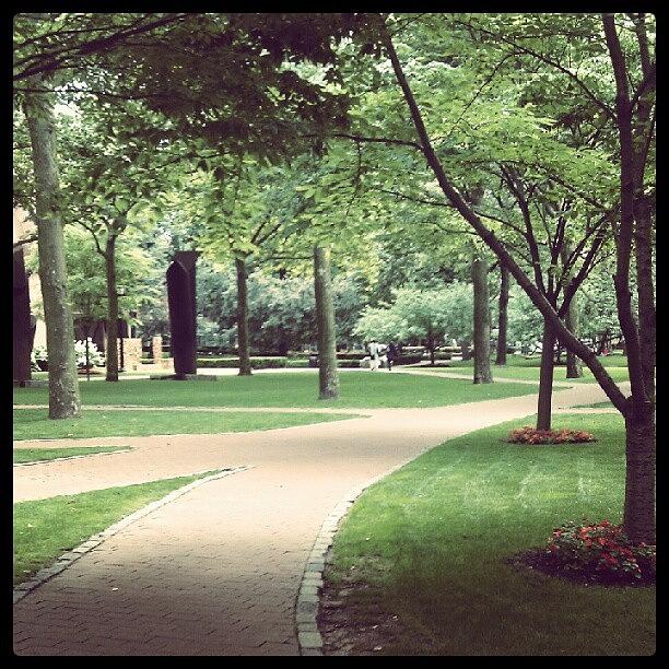 Campus Is So Quiet And Serene In The Photograph by Caitlin Kunzle