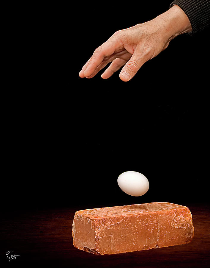 Can You Predict the Future Of This Egg Photograph by Endre Balogh
