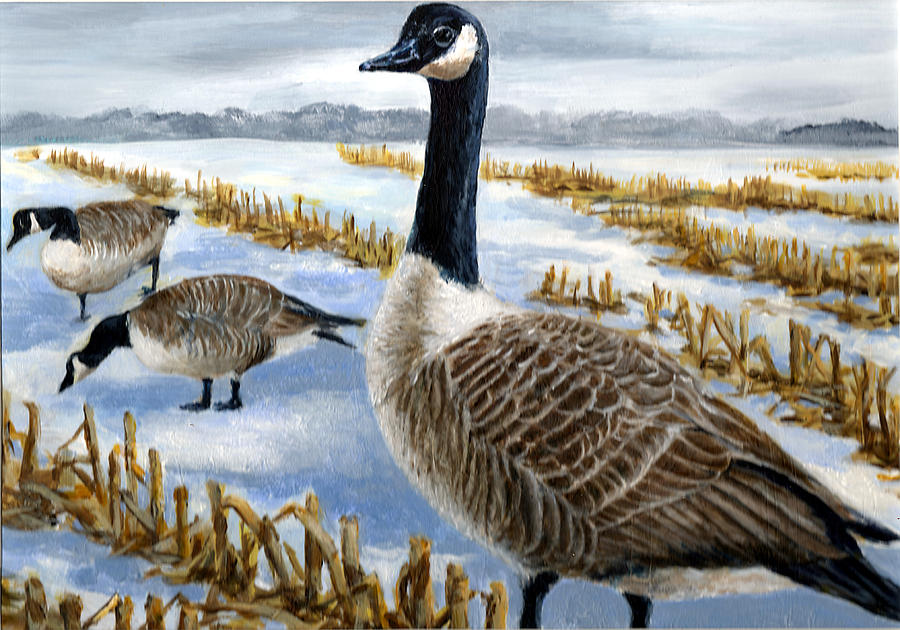 Canada Goose Painting by Paul Gardner