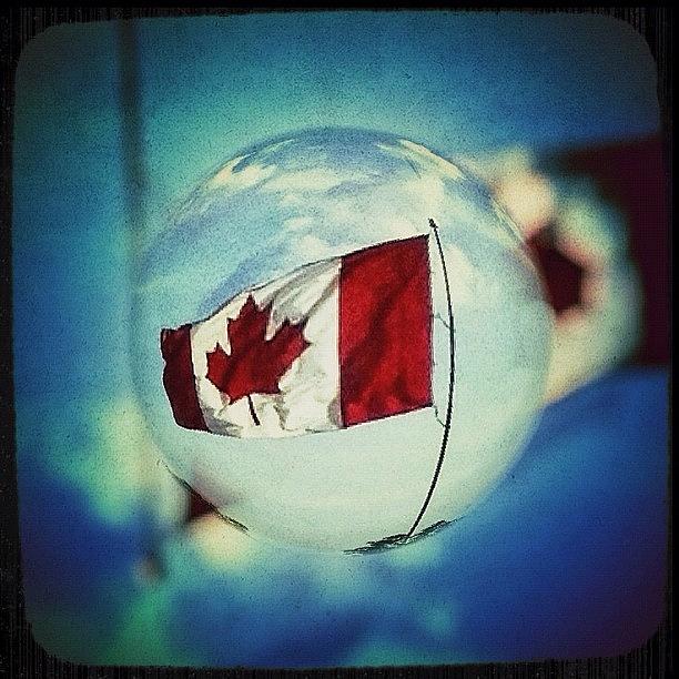Canada Photograph - Canadian Marble by Natasha Marco