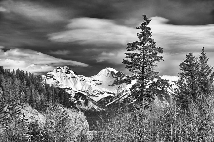 Canadian Rockies 12974 Photograph by Guy Whiteley