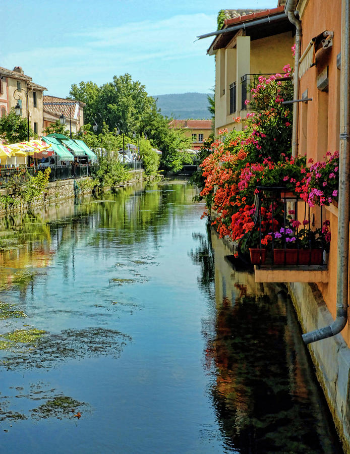 Flower Photograph - Canal View Provence France by Dave Mills